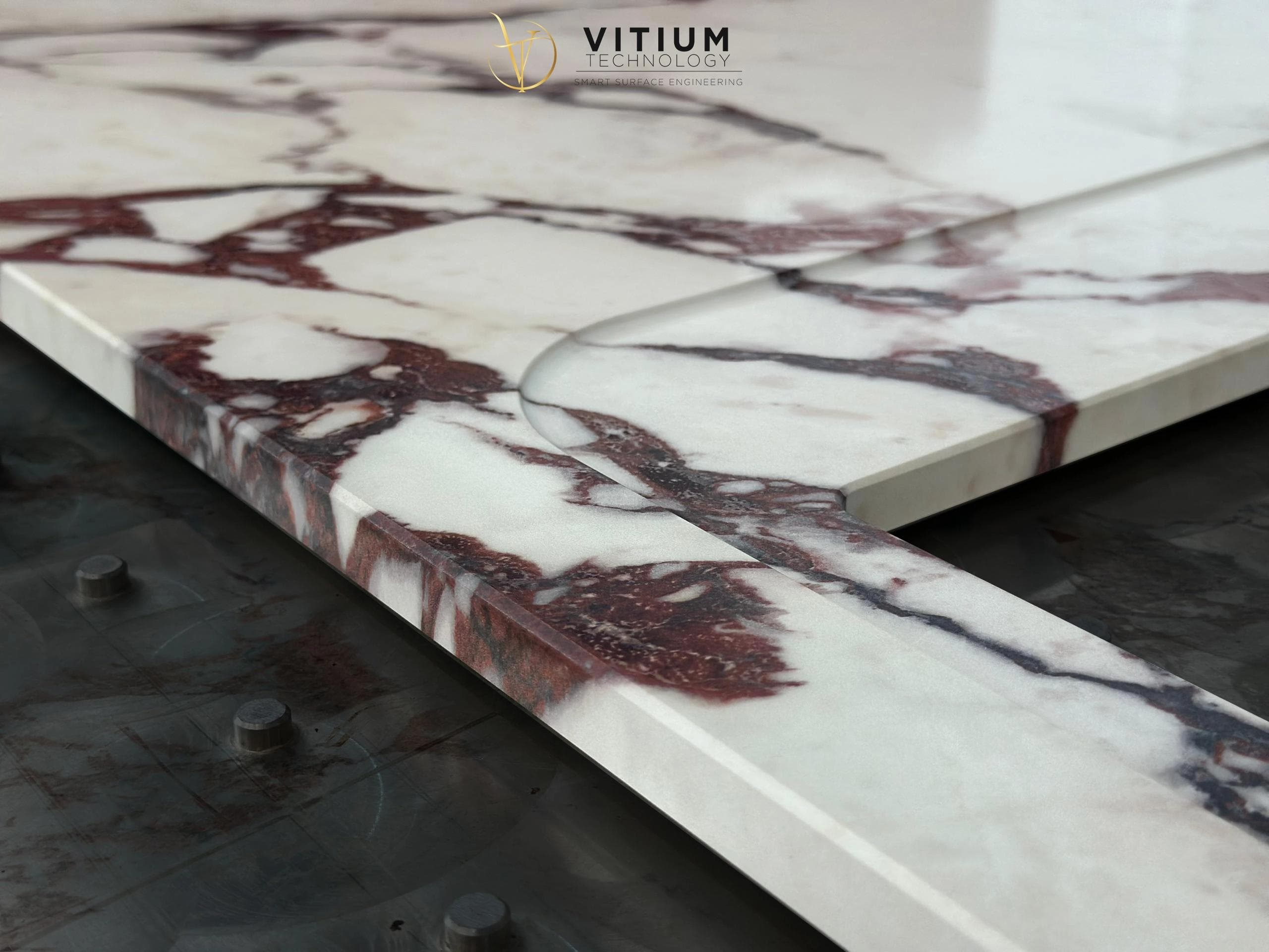 Vitium Gallery Showcase 6